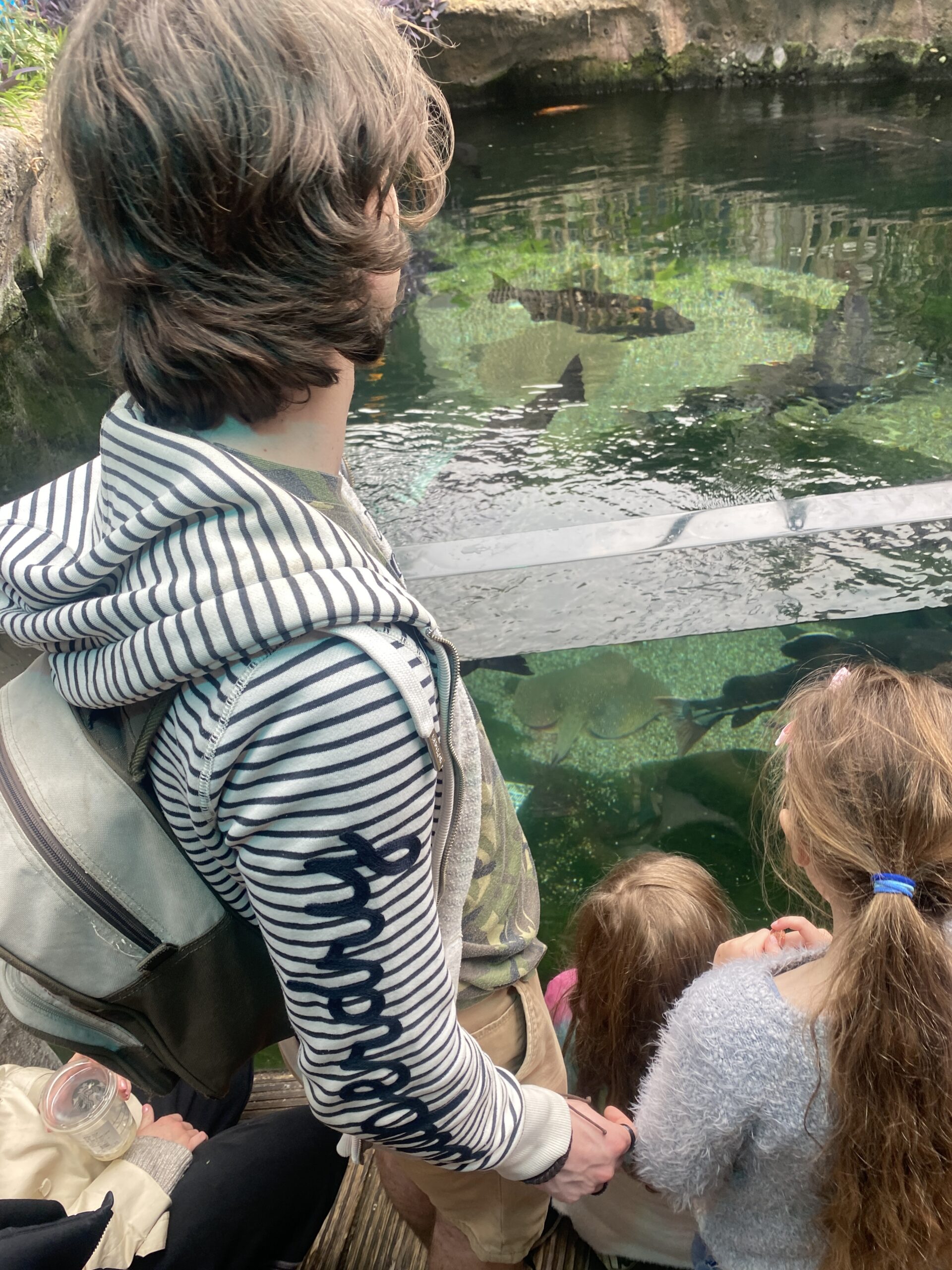 Bristol Aquarium and the biggest fish I’ve ever seen!